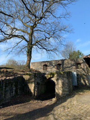 Foto des Albums: Lißberg, Burghalle und Außengelände der Burganlage