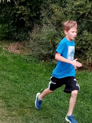Foto des Albums: Crosslauf 2020