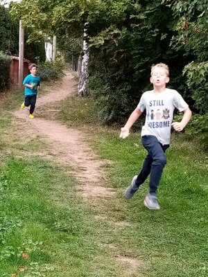 Foto des Albums: Crosslauf 2020