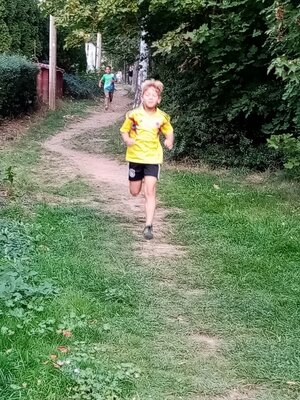 Foto des Albums: Crosslauf 2020