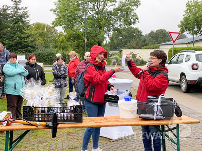 Die Lose werden gezogen.  (Bild vergr&ouml;&szlig;ern)