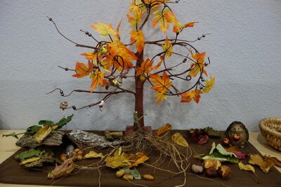 Unterm Herbstbaum gibt es immer etwas Neues zu entdecken!  (Bild vergr&ouml;&szlig;ern)