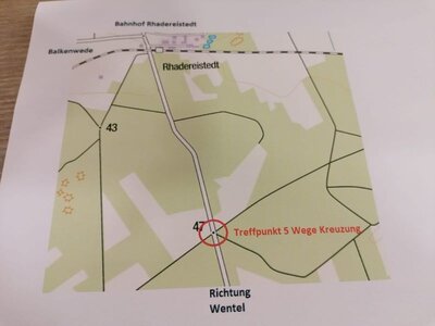 Foto des Albums: Pilzwanderung am 10.10.2020