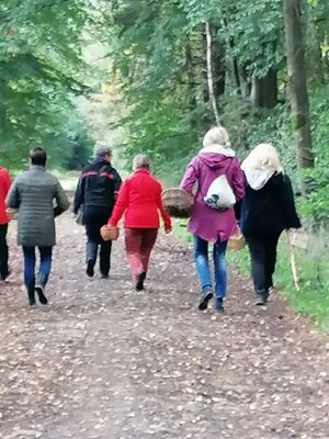 Foto des Albums: Pilzwanderung am 10.10.2020