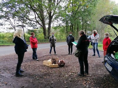 Foto des Albums: Pilzwanderung am 10.10.2020