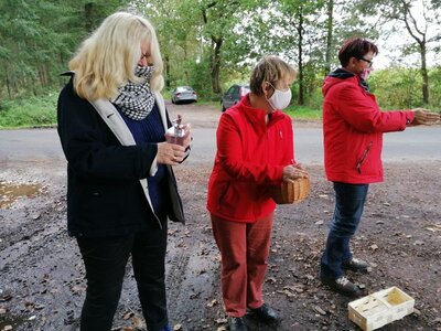 Foto des Albums: Pilzwanderung am 10.10.2020