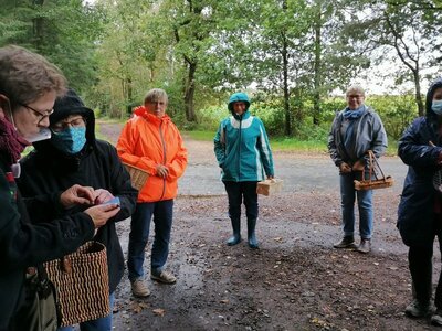 Foto des Albums: Pilzwanderung am 10.10.2020