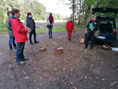 Foto des Albums: Pilzwanderung am 10.10.2020