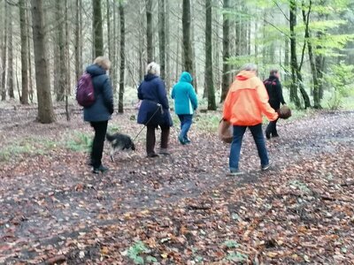 Foto des Albums: Pilzwanderung am 10.10.2020