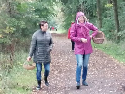 Foto des Albums: Pilzwanderung am 10.10.2020