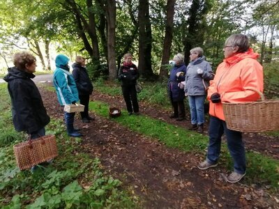 Foto des Albums: Pilzwanderung am 10.10.2020