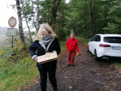 Foto des Albums: Pilzwanderung am 10.10.2020