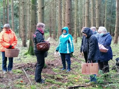 Foto des Albums: Pilzwanderung am 10.10.2020
