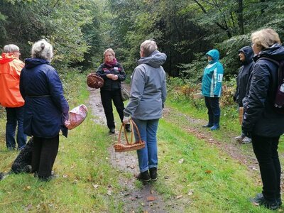 Foto des Albums: Pilzwanderung am 10.10.2020