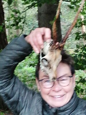 Foto des Albums: Pilzwanderung am 10.10.2020