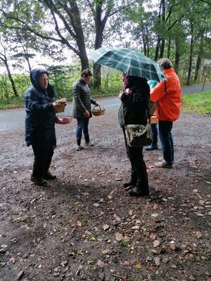 Foto des Albums: Pilzwanderung am 10.10.2020