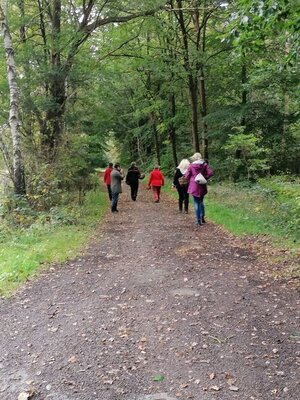 Foto des Albums: Pilzwanderung am 10.10.2020