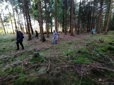 Foto des Albums: Pilzwanderung am 10.10.2020