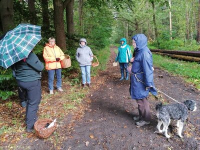 Foto des Albums: Pilzwanderung am 10.10.2020