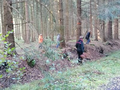 Foto des Albums: Pilzwanderung am 10.10.2020