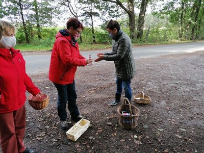 Foto des Albums: Pilzwanderung am 10.10.2020
