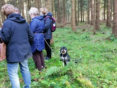 Foto des Albums: Pilzwanderung am 10.10.2020