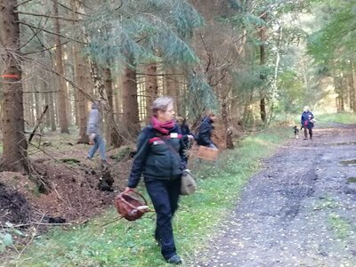 Foto des Albums: Pilzwanderung am 10.10.2020