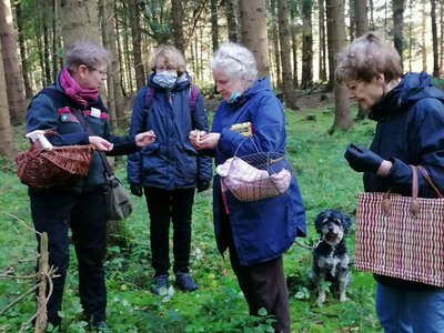 Foto des Albums: Pilzwanderung am 10.10.2020