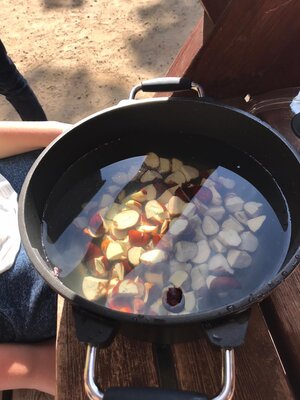 Foto des Albums: Waschmittel aus Kastanien (4b)