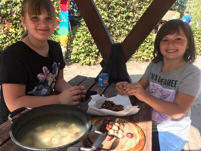 Foto des Albums: Waschmittel aus Kastanien (4b)