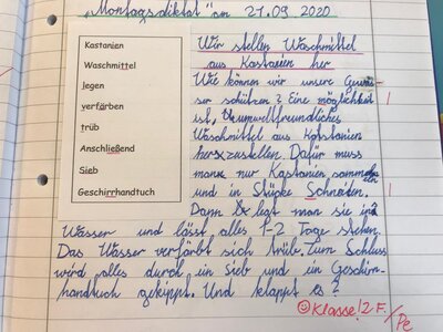 Foto des Albums: Waschmittel aus Kastanien (4b)