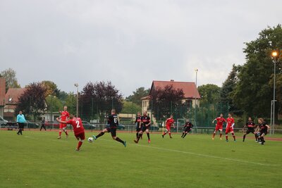 Foto des Albums: Rot-Weiß Schönow - Häsener SV 3-1