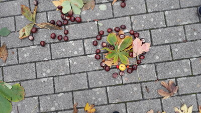Foto des Albums: Herbstmandalas der Klassen 1