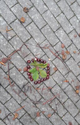 Foto des Albums: Herbstmandalas der Klassen 1