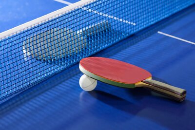Tischtennis Netz Schl&auml;ger 
