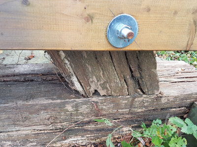 Foto des Albums: Brücke am Bürgerpark abgebaut