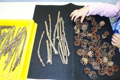 Ein Aktionstablett mit Naturmaterialien.  (Bild vergr&ouml;&szlig;ern)