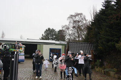 Foto des Albums: Karneval