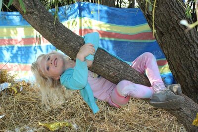 Foto des Albums: Unser Garten