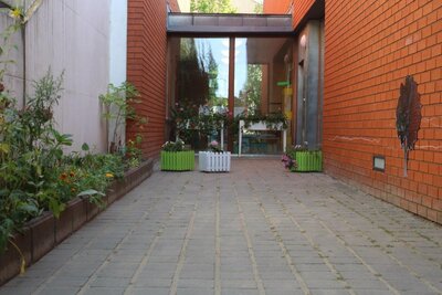 Foto des Albums: Unser Garten