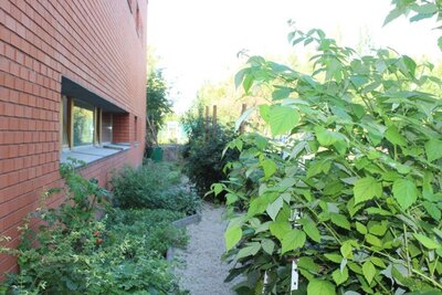 Foto des Albums: Unser Garten