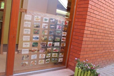 Foto des Albums: Unser Garten