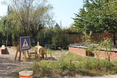 Foto des Albums: Unser Garten