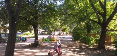 Foto des Albums: Unser Garten mit Acker