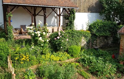 Garten - Ferienhaus No. 11  (Bild vergr&ouml;&szlig;ern)