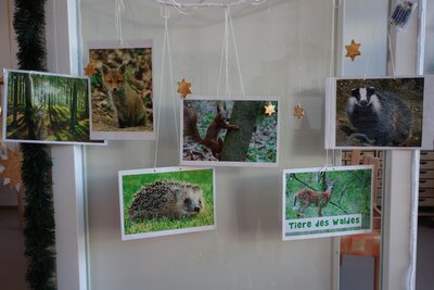 Wir lernen Tiere kennen, die im Wald leben.  (Bild vergr&ouml;&szlig;ern)