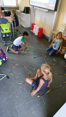 Foto des Albums: Füchse fühlen sich schon pudelwohl