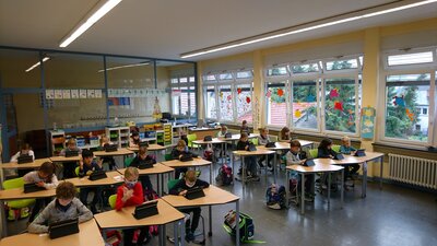 Foto des Albums: Füchse fühlen sich schon pudelwohl
