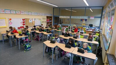 Foto des Albums: Füchse fühlen sich schon pudelwohl