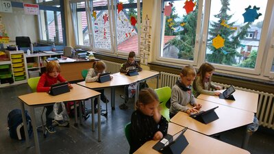 Foto des Albums: Füchse fühlen sich schon pudelwohl